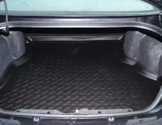 Лоток багажного/грузового отсека CARBOX купить